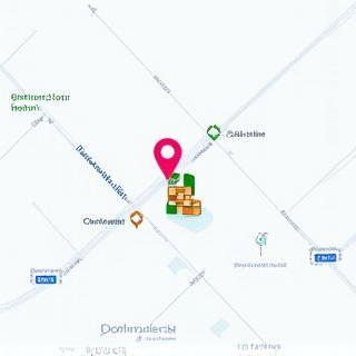 Carte de la localisation Livraison Express SAS à Lyon